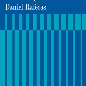Elementos de derecho penal. Una perspectiva constitucional